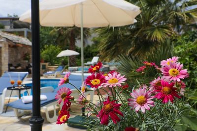 Large Island Brac Children Friendly Villa with Pool near Pebble Beach 