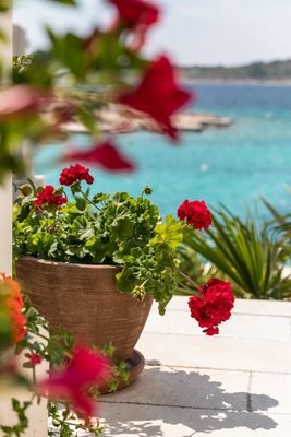 Sea Front House with Private Beach in Kanica; Rogoznica Riviera