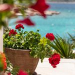 Sea Front House with Private Beach in Kanica; Rogoznica Riviera