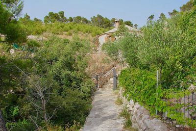 Beachfront Stone House with New Swimming Pool island Brac
