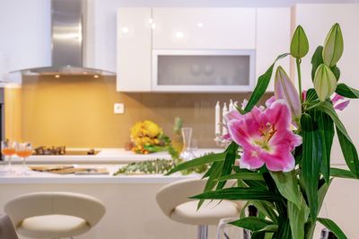 Beautiful 4 Bedroom Holiday Villa in Lumbarda, island Korcula