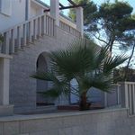 Croatia villa with pool Bobovisca 1