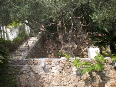 Charming villa with pool Nemira 13