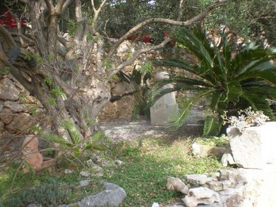 Charming villa with pool Nemira 26