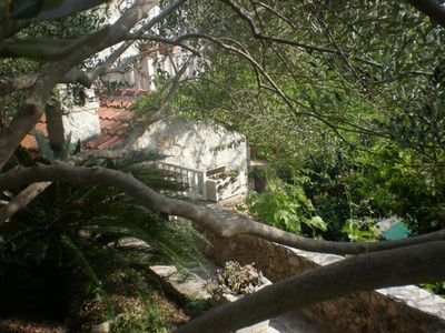 Charming villa with pool Nemira 28