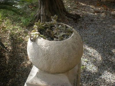 Charming villa with pool Nemira 29