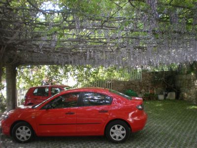 Charming villa with pool Nemira 33
