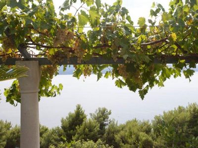 Charming villa with pool Nemira 36