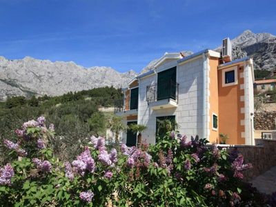 Exclusive villa with pool Makarska 1