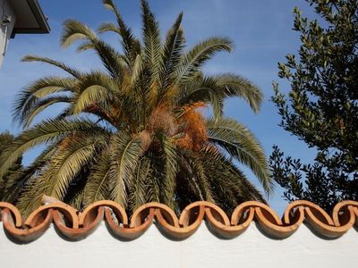 Charming Croatia house island Hvar 17