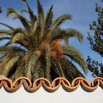 Charming Croatia house island Hvar 17