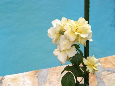Modern luxury villa with pool Makarska 38