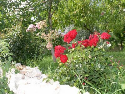 Modern luxury villa with pool Makarska 39