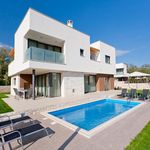 Luxury villa with pool near Umag 1