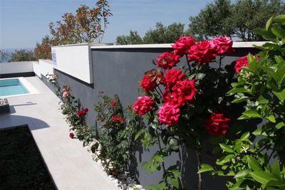 Stylish luxury villa in Makarska