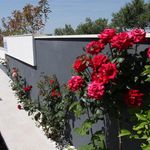 Stylish luxury villa in Makarska