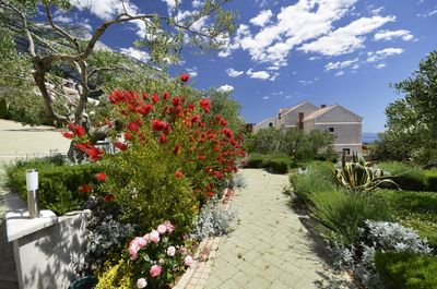 Luxury Villa Makarska with Pool